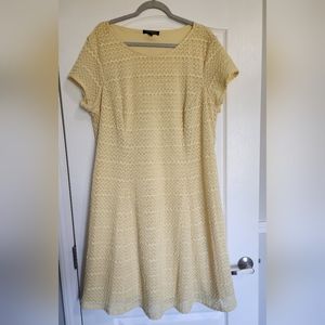 Sharagano woman 22W dress, light/pale yellow.